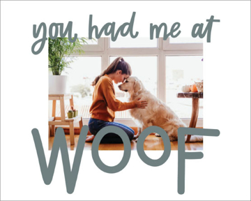 Picture of You had me at Woof - 30x40