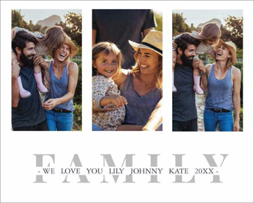 Picture of We Love Family - 24x36