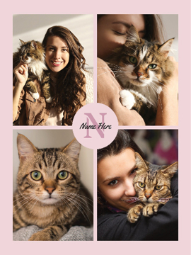 Picture of Pets-08 60x50 Plush (No Bleed)